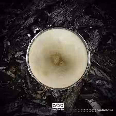 Soul Surplus Kadence [WAV, Synth Presets] - Sample Pack Artwork