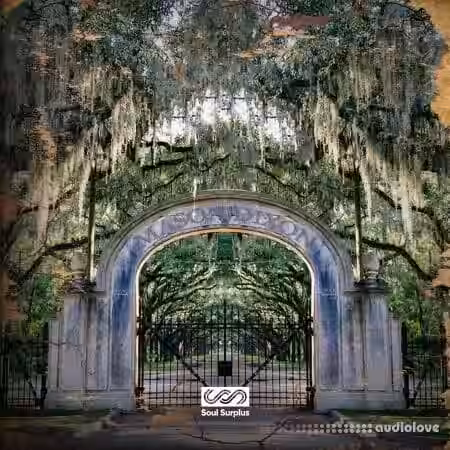 Soul Surplus Mason Dixon [WAV] - Sample Pack Artwork