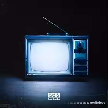 Soul Surplus Pastime [WAV, Synth Presets] - Sample Pack Artwork