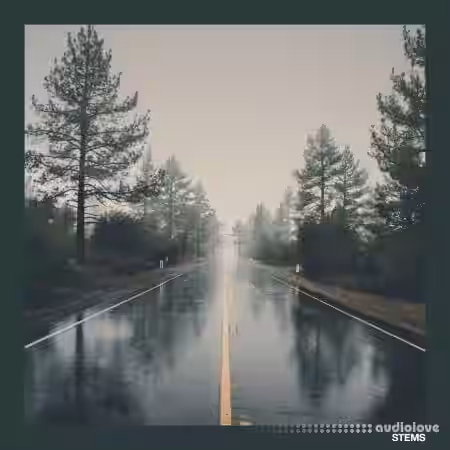 Soul Surplus Roady Pack (Compositions) [WAV] - Sample Pack Artwork