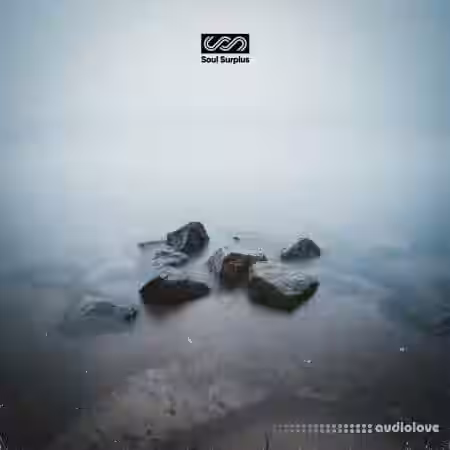 Soul Surplus Stepping Stones [WAV] - Sample Pack Artwork