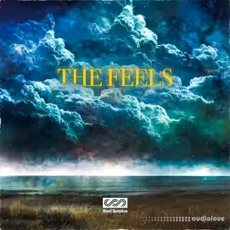 Soul Surplus The Feels [WAV] - Sample Pack Artwork