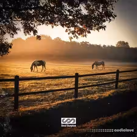 Soul Surplus The Front Porch [WAV] - Sample Pack Artwork