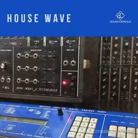 Sound Capsule House Wave [WAV] - Sample Pack Artwork
