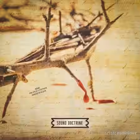 Sound Doctrine The Life in Love Pack [WAV] - Sample Pack Artwork