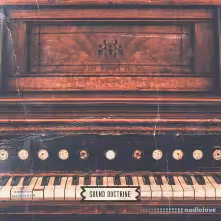 Sound Doctrine The Revival [WAV] - Sample Pack Artwork