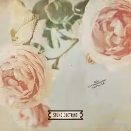 Sound Doctrine The Sunshine Singers [WAV] - Sample Pack Artwork