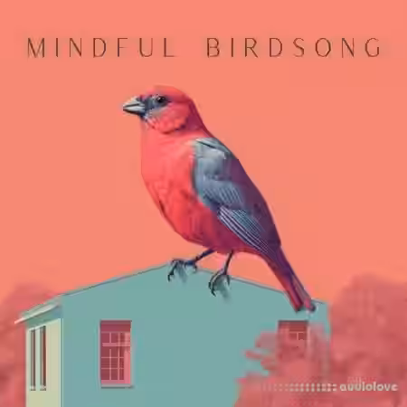 Sound FX Zone Mindful Birdsong [FLAC] - Sample Pack Artwork