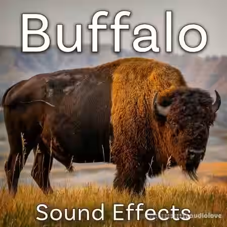 Sound Ideas Buffalo Sound Effects [FLAC] - Sample Pack Artwork