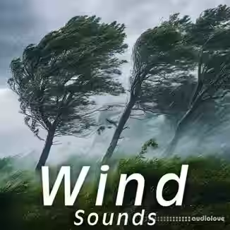 Sound Ideas Wind Sounds [FLAC]