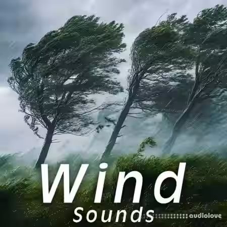Sound Ideas Wind Sounds [FLAC] - Sample Pack Artwork