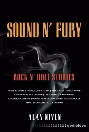 Sound N' Fury: Rock N' Roll Stories
