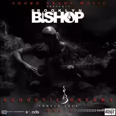 Sound Proof Music Acoustic Dreams Vol. 2 [AiFF] - Sample Pack Artwork