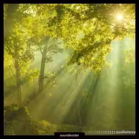 Soundholder Summer Ambients [WAV] - Sample Pack Artwork