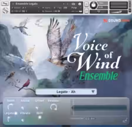 Soundiron Voices of Wind Collection [KONTAKT] - Sample Pack Artwork