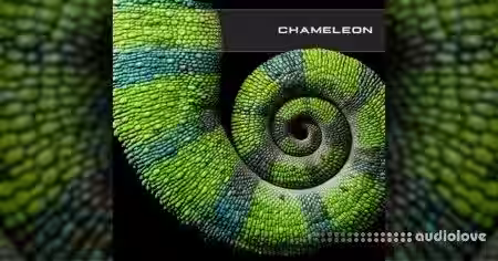 SoundsDevine Chameleon [Synth Presets] - Sample Pack Artwork