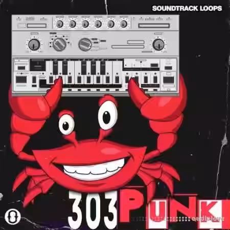 Soundtrack Loops 303 Punk [WAV] - Sample Pack Artwork