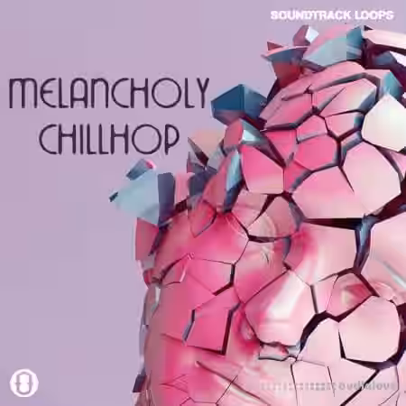 Soundtrack Loops Melancholy Chill Hop [WAV] - Sample Pack Artwork