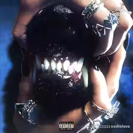 SPACED Top Shelf Sound Pack [WAV] - Sample Pack Artwork