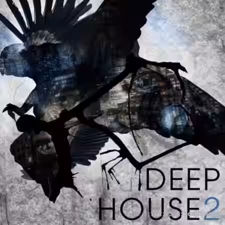 SPF Samplers Deep House 2 [WAV] - Sample Pack Artwork