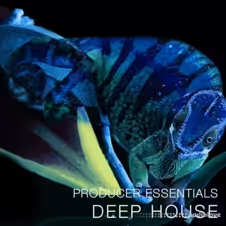 SPF Samplers Producer Essentials Deep House [WAV, MiDi, Synth Presets] - Sample Pack Artwork
