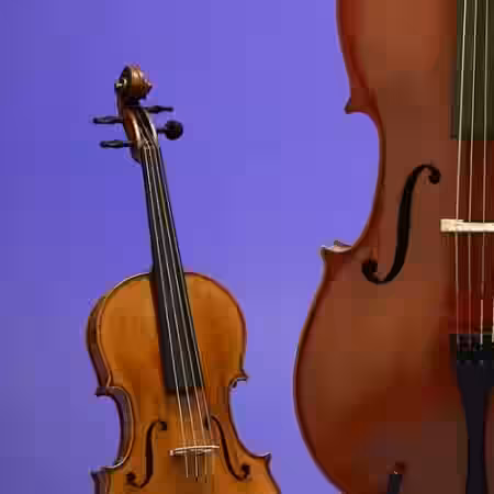 Spitfire Audio String Quartet v1.1 [Ableton Live] - Sample Pack Artwork