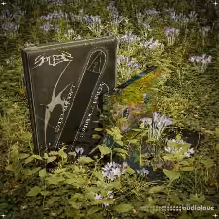 SPLEEN Deep Secret Sample Pack [WAV, MiDi, Synth Presets] - Sample Pack Artwork