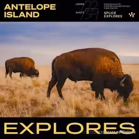Splice Explores Antelope Island [WAV] - Sample Pack Artwork