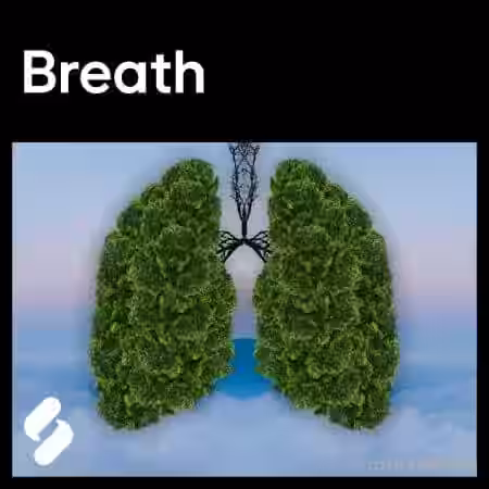 Splice Explores Breath [WAV] - Sample Pack Artwork
