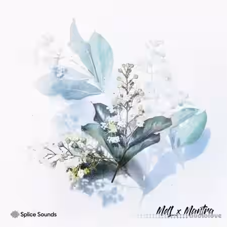 Splice MdL x Mantra [WAV] - Sample Pack Artwork