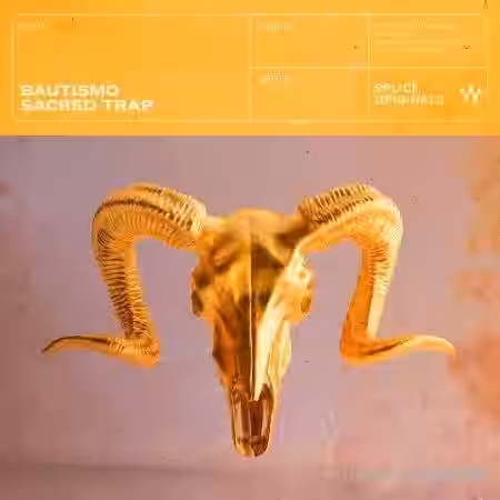 Splice Originals Bautismo [WAV] - Sample Pack Artwork