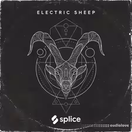 Splice Originals Electric Sheep [WAV] - Sample Pack Artwork