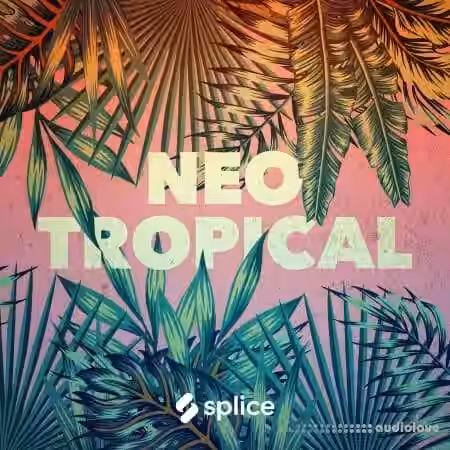 Splice Originals Neo Tropical [WAV, Synth Presets] - Sample Pack Artwork
