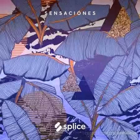 Splice Originals Sensaciones Latin RnB [WAV] - Sample Pack Artwork