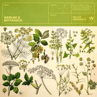Splice Originals Serum 2 Botanica [WAV, Synth Presets]