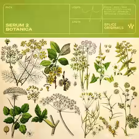 Splice Originals Serum 2 Botanica [WAV, Synth Presets] - Sample Pack Artwork