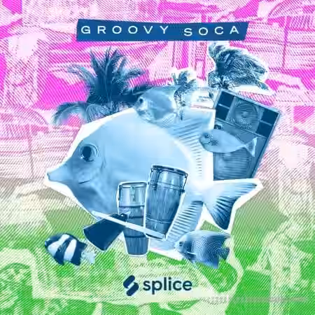 Splice Sessions Groovy Soca [WAV] - Sample Pack Artwork