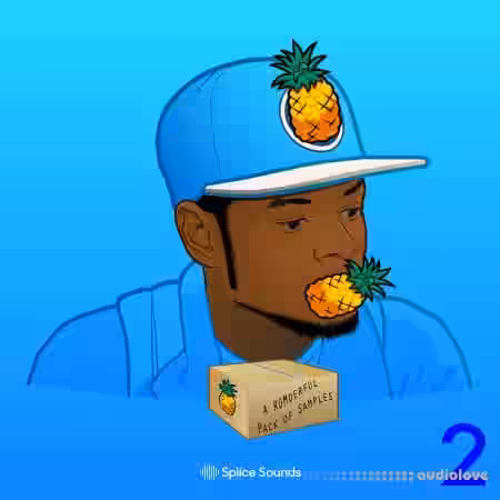 Splice Sounds A ROMderful Pack of Samples 2 [WAV] - Sample Pack Artwork