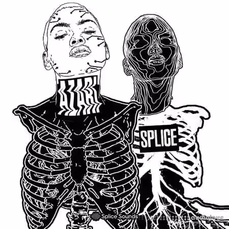 Splice Sounds AZARI Sample Pack [WAV] - Sample Pack Artwork