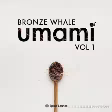 Splice Sounds Bronze Whale Umami Sample Pack [WAV, MiDi] - Sample Pack Artwork