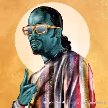 Splice Sounds D─üM-FunK: Modern-Funk Sample Pack [WAV, Synth Presets] - Sample Pack Artwork