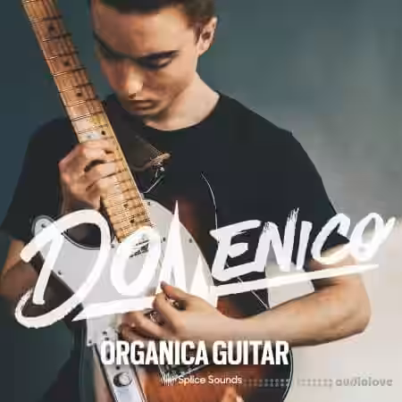 Splice Sounds DOMENICO: Organica Guitar [WAV] - Sample Pack Artwork