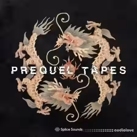 Splice Sounds from the Dragon Room by Prequel Tapes [WAV] - Sample Pack Artwork