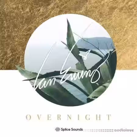 Splice Sounds Ian Ewing Overnight Sample Pack [WAV, Synth Presets] - Sample Pack Artwork