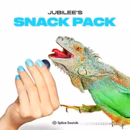 Splice Sounds Jubilee's Snack Pack [WAV] - Sample Pack Artwork
