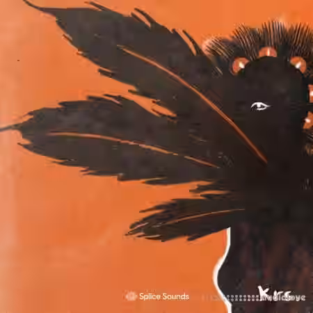 Splice Sounds krs. Build a Vybz Drum Kit Vol.2 [WAV, MiDi] - Sample Pack Artwork