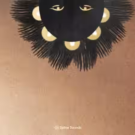 Splice Sounds krs.: Build a Vybz Vol.3 [WAV, MiDi] - Sample Pack Artwork