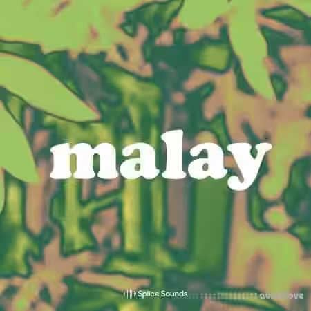 Splice Sounds Malay Sample Pack [WAV] - Sample Pack Artwork