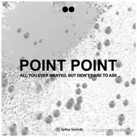 Splice Sounds POINT POINT All You Ever Wanted, But Didn't Dare To Ask [WAV] - Sample Pack Artwork