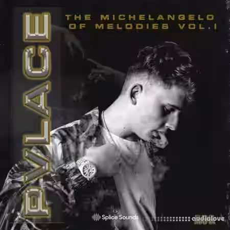 Splice Sounds Pvlace Michelangelo of Melodies Vol.1 [WAV] - Sample Pack Artwork